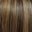 1B/2H/6.2 - Cinnamon Bronde